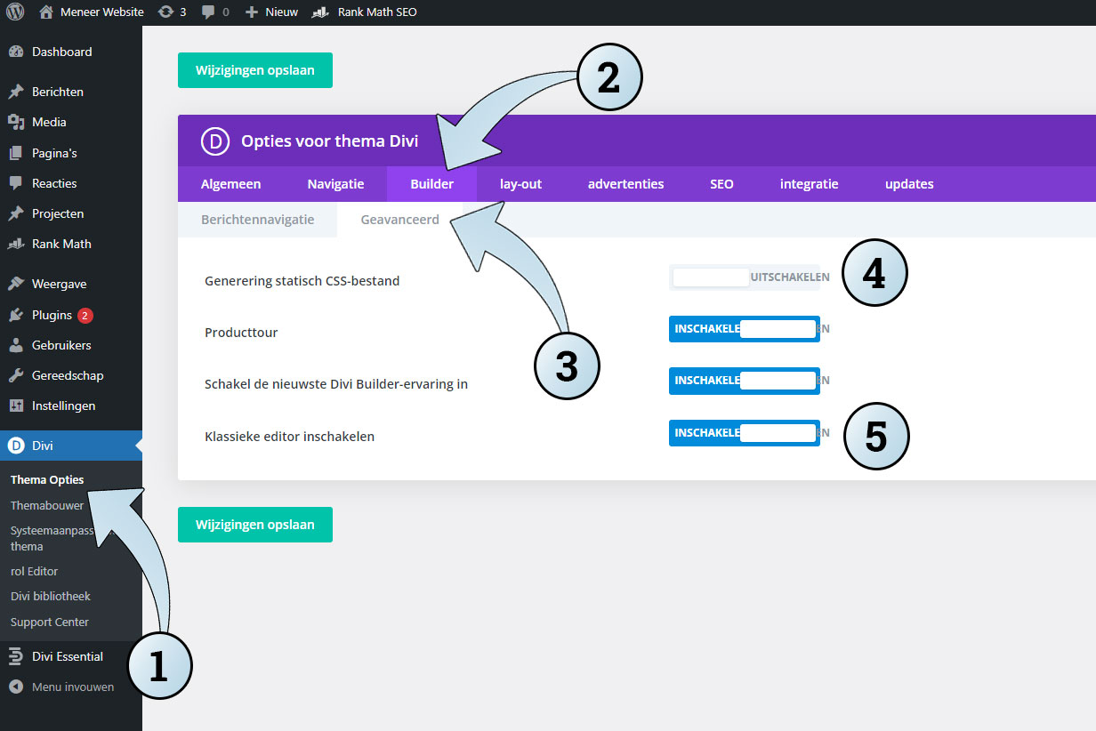 De Divi Thema opties die je bij het tabblad Builder en Geavanceerd instelt