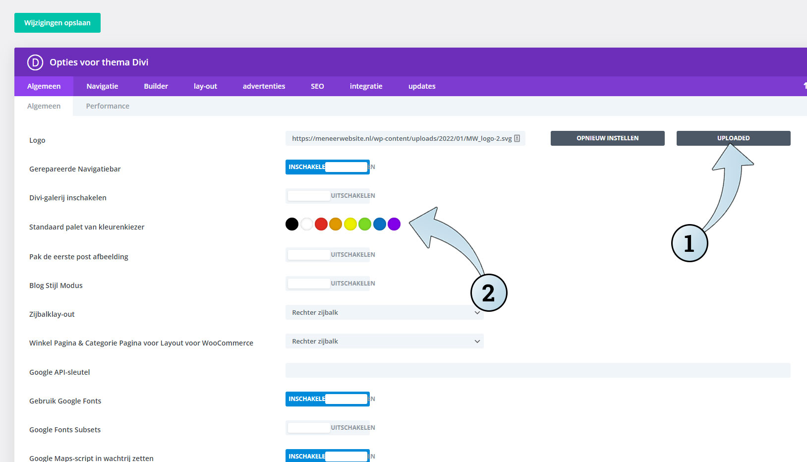 In de Thema opties van Divi, kun je bij het tabblad Algemeen je logo toevoegen en huisstijlkleuren in de kleurenkiezer zetten.
