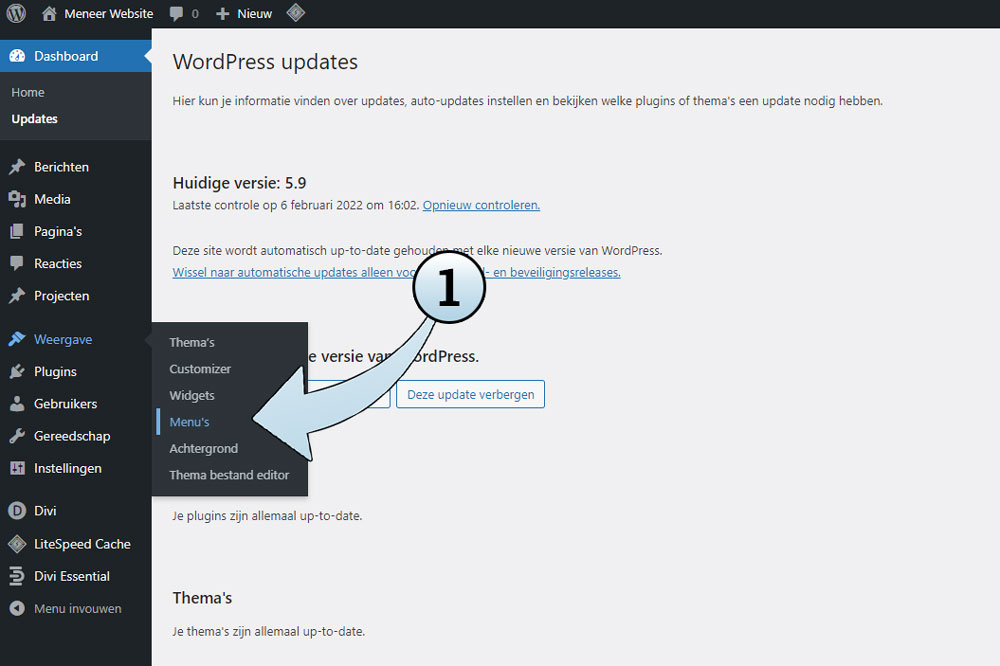 Om een hoofdmenu aan te maken, navigeer je naar de Weergave opties en selecteer je Menu's.