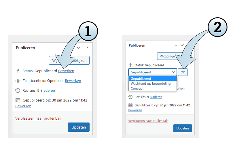 Via de publicatie-opties kun je schakelen tussen een pagina op concept zetten en publiceren