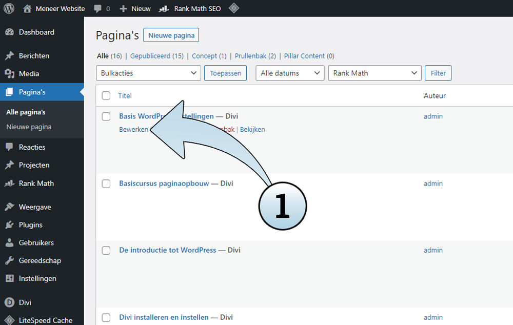 De SEO opties vind je door een pagina te bewerken